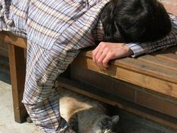 Foto Hewan yang Bikin Gemas Lihatnya, Menambah Semangat di Hari Senin