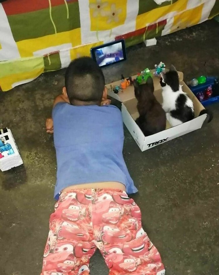 Foto hewan menggemaskan