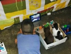 Foto Hewan yang Bikin Gemas Lihatnya, Menambah Semangat di Hari Senin