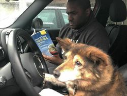 Foto Hewan yang Bikin Gemas Lihatnya, Menambah Semangat di Hari Senin