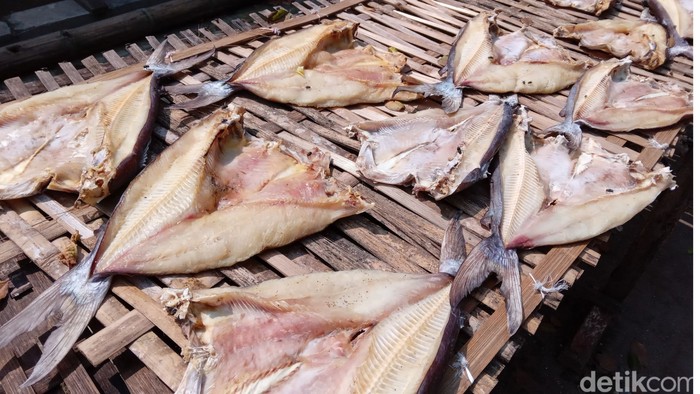 Cara Bikin Ikan Asin Jambal Roti Pangandaran Yang Gurih Empuk