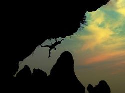 Keren Banget! Jepretan Foto Siluet Ini Bikin Geleng-geleng Kepala