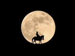 Keren Banget! Jepretan Foto Siluet Ini Bikin Geleng-geleng Kepala