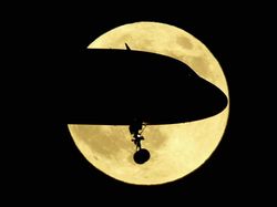 Keren Banget! Jepretan Foto Siluet Ini Bikin Geleng-geleng Kepala