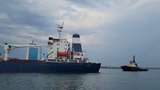 Kapal Kargo Pangan Pertama dari Ukraina Tiba di Istanbul