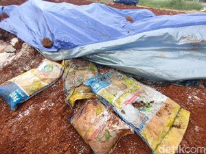 Kemenko PMK: Beras Rusak Dikubur di Depok 1 Ton, Bantuan Presiden 2020