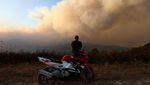 Ketika Kebakaran Hutan Jadi Tontonan