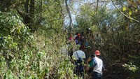 Tiba-tiba, guide kami memberi tahu ada seekor komodo yang sedang beristirahat di atas bukit. Kami pun bergegas ke sana. Karena lokasinya ada di atas, kami harus bergantian dengan kelompok wisatawan lainnya. (Wahyu Setyo/detikTravel)