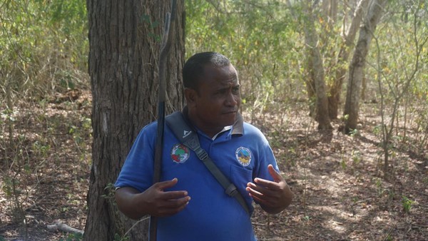 Kami ditemani Naturalist Guide bernama Haryono Abdullah atau akrab disapa Pak Yono. Dari cerita Pak Yono, kami mengetahui bahwa perilaku Komodo akan jadi agresif saat musim kawin tiba. Mereka akan saling bertarung untuk memperebutkan betina. (Wahyu Setyo/detikTravel)