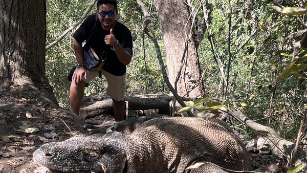 Satu per satu, kami pun berfoto dengan sang Komodo Naga. Harap diingat, jangan pernah menyentuh si Komodo. Selalu berfoto menjaga jarak dari belakang dan percayakan semuanya pada pemandu kalian. (Wahyu Setyo/detikTravel)