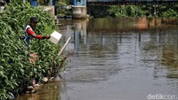 Bahkan masih ada pemukiman di deket sungai Citayam.
