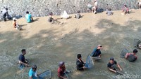 Ya seneng, sekalian silaturahmi rame-rame. Ini tradisi bersih sungai setiap musim kemarau agar nanti kalau musim hujan datang tidak banjir sekaligus nangkap ikan. Ini ada ribuan warga. Ikannya ada banyak, ada lele, nila, gabus, mujaer dan lain-lain. Dapatnya lumayan, 5 kiloan, kata Manisem saat ditemui detikJateng di lokasi. (Foto: Rinto Heksantoro/detikJateng)