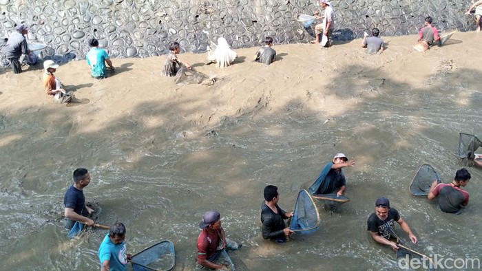 Ratusan warga Purworejo gelar tradisi bersih sungai dan mencari ikan, Senin (1/8/2022).