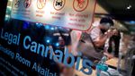 Geliat Bisnis Kafe-Restoran dengan Bumbu Ganja di Bangkok