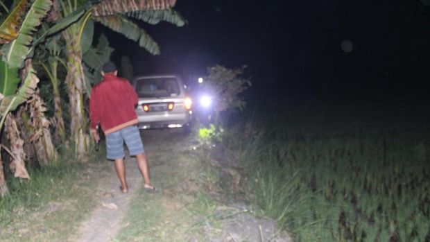 mobil kesasar di sawah Jombang