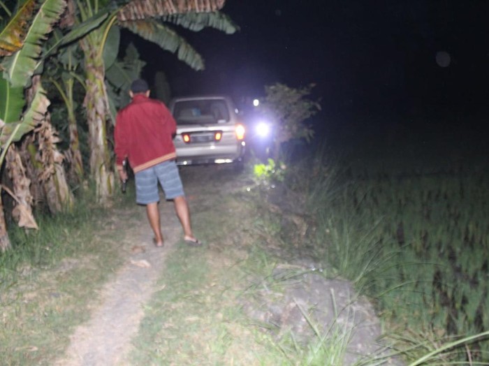 mobil kesasar di sawah Jombang