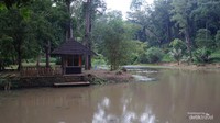 Situ Mustika