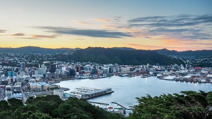 View Wellington
