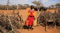 Mary Yanaiyo 47, seorang wanita suku Samburu membawa jerigen di luar rumah manyatta setelah menerima daging bantuan pemerintah dan Palang Merah Kenya.