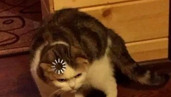 Bagaimana caranya antman bernapas? Foto: Science Memes via Bored Panda