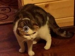 10 Lelucon Dikaitkan dengan Ilmu Sains, Harus Mikir Dua Kali