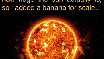 Nggak usah dicari pisangnya. Nggak akan kelihatan juga, kok. Foto: Science Memes via Bored Panda