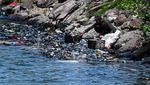 Duh... Pelabuhan di Aceh Ini Dikotori Sampah Plastik dan Limbah Minyak