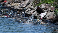Pemulung mencari sampah plastik yang dibuang di Pelabuhan Banda Aceh.
