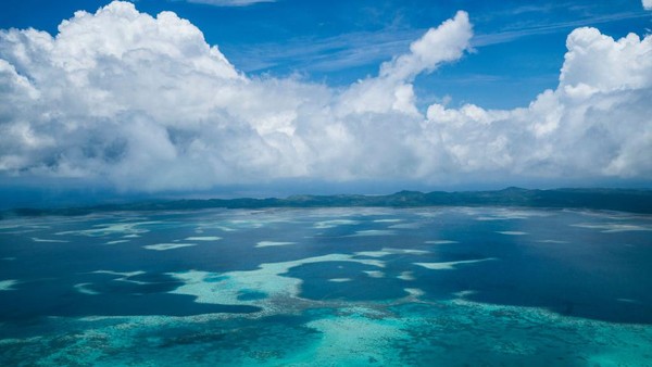 Pada tahun 1979, Palau mengadopsi konstitusi anti-nuklir pertama dunia. Kecintaan Palau akan alamnya diteruskan dengan pelarangan penggunaan sunblock tertentu saat berenang di laut.