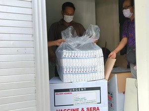 Bulan Imunisasi Anak 2022, Bali Target 34.146 Siswa SD Divaksin HPV