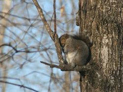 Siap-siap Ngakak! Ini Finalis Comedy Wildlife Photography Awards Terlucu