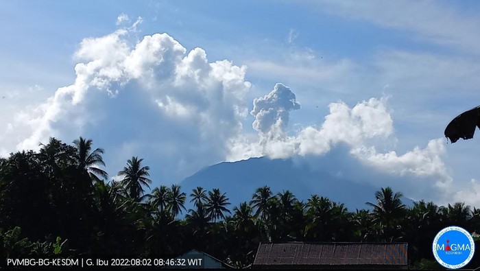 Gunung Ibu erupsi (dok PVMBG)