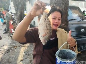 Warga Berebut Tangkap Ikan Mabuk Mengambang di Kalimas