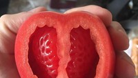 Siapa sangka, di dalam tomat yang sempurna ini. Ternyata memiliki bagian dalam yang mirip seperti buah strawberry. Kira-kira rasanya bagaimana ya? Foto: Site News