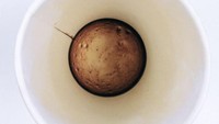 Habiskan kopinya, netizen ini menemukan bagian dasar gelas kartonnya memiliki tampilan yang mirip seperti bulan. Warna cokelat kehitaman, di dapat dari warna kopi yang ada di sana. Foto: Site News