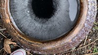 Foto: Site News