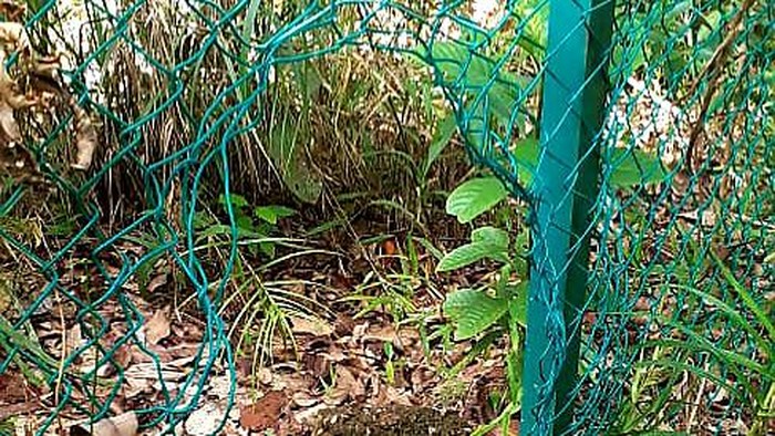 Sinergitas Badan Nasional Pengelola Perbatasan dan Satgas Pamtas dalam tinjauan temuan Jalur Tak Resmi dikawasan Entikong, Kalimantan Barat.