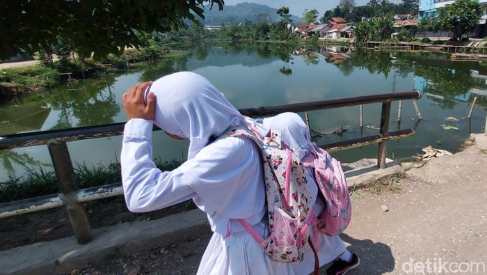Kondisi Situ Ciburuy yang tercemar limbah berangsur pulih.