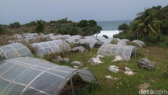 Lokasi budidaya garam yang terbengkalai di Pantai Dadapayam, Gebang, Kanigoro, Saptosari, Kabupaten Gunungkidul, Selasa (2/8/2022).