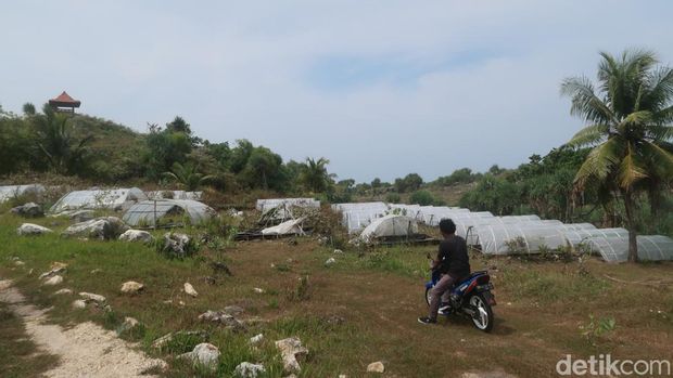 Lokasi budidaya garam yang terbengkalai di Pantai Dadapayam, Gebang, Kanigoro, Saptosari, Kabupaten Gunungkidul, Selasa (2/8/2022).