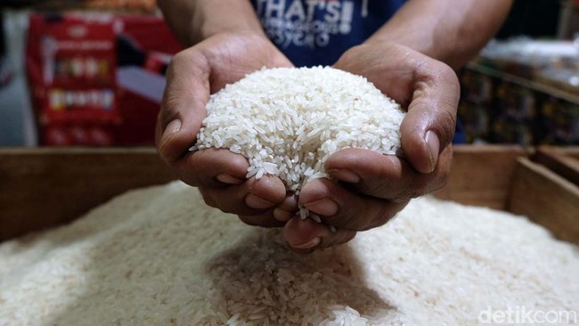 Warga RI Dihantam Kenaikan Harga Beras dan Biaya Pendidikan
