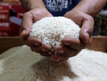 Warga RI Dihantam Kenaikan Harga Beras dan Biaya Pendidikan