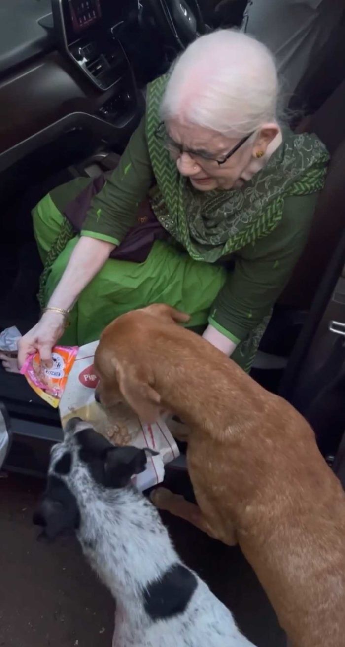 Mulia! Nenek Berusia 90 Tahun Ini Masak untuk 120 Anjing Liar Setiap Hari