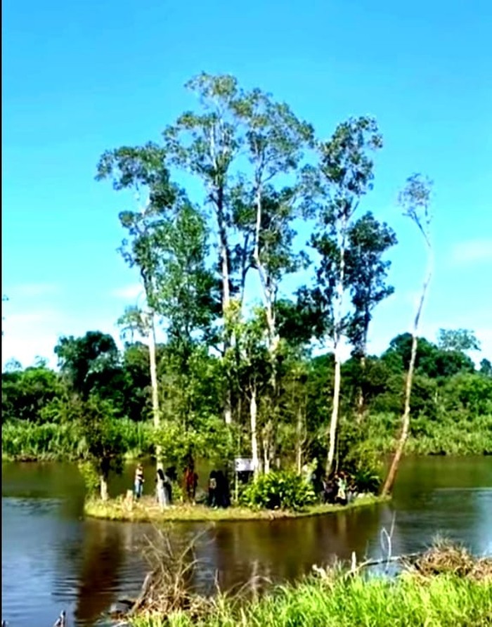 Pulau bergerak di Danau Bagut, Kapuas Hulu.