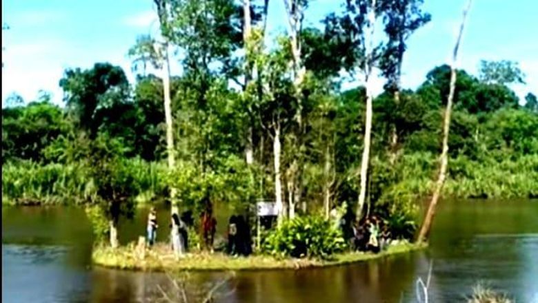 Pulau bergerak di Danau Bagut, Kapuas Hulu. Pulau bergerak di Danau Bagut, Kapuas Hulu.