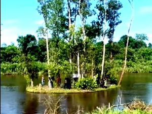 Fenomena dan Cerita Rakyat soal Pulau Bergerak di Danau Bagut Kapuas Hulu