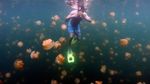 Sensasi Berenang Bersama Ribuan Ubur-ubur di Palau