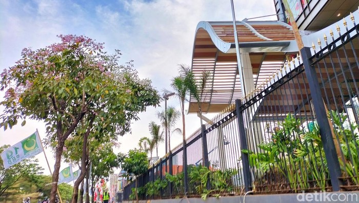 Tabebuya di Surabaya mulai bermekaran, Selasa (2/8/2022). Termasuk yang di depan Trans Icon, frontage Jalan Ahmad Yani.