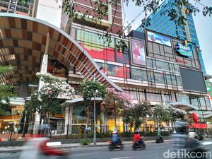 Cantiknya Tabebuya yang Mekar di depan Trans Icon Surabaya
