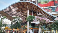Bunga tabebuya yang mekar di depan Trans Icon Surabaya berwarna putih dan pink/Foto: Deny Prastyo Utomo/detikJatim